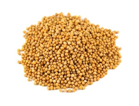 mustard_seeds